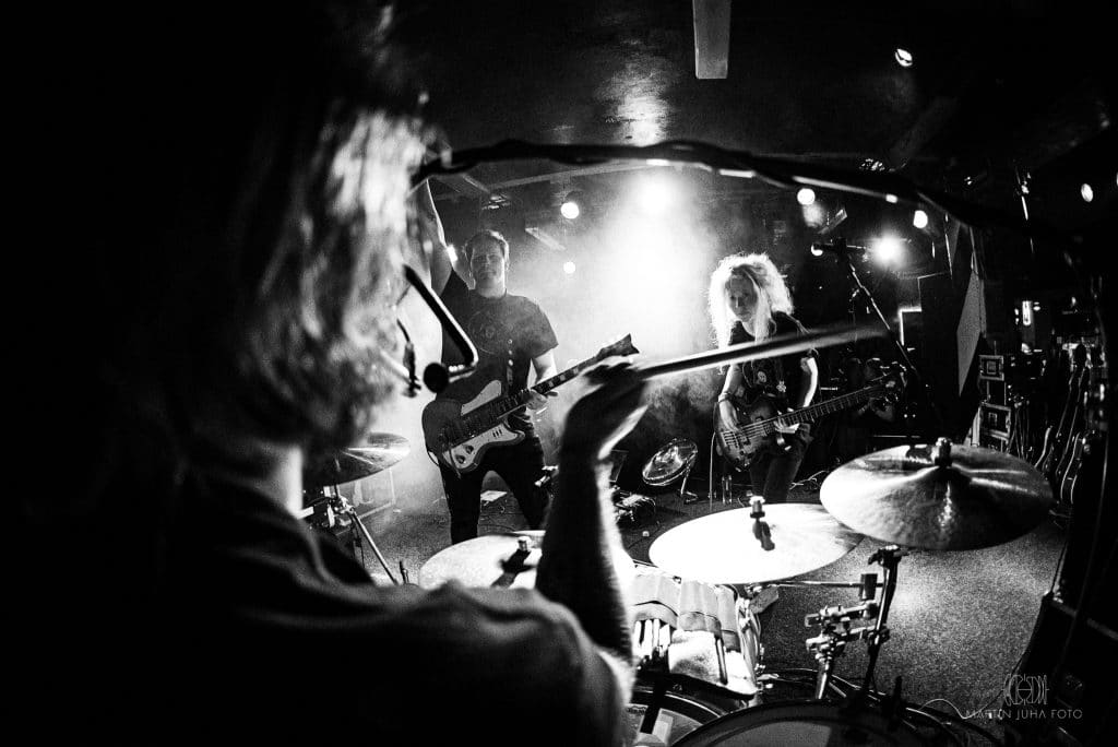 Stream koncertu The Wild Roots
